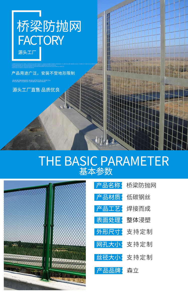 桥梁防抛网(图1)